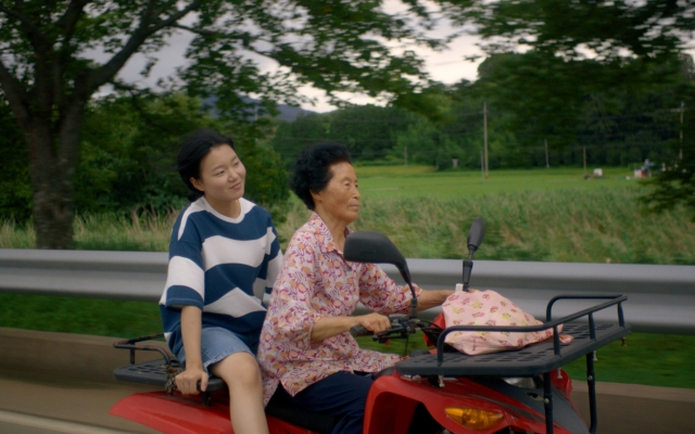 영아의 섬