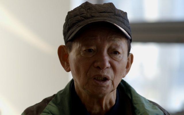 숲이 된 기억